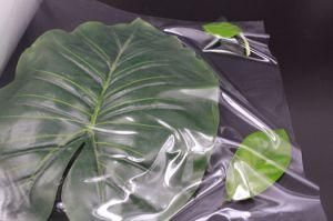 Good Tensile Strength Insulation Transparent Silica Gel Coating