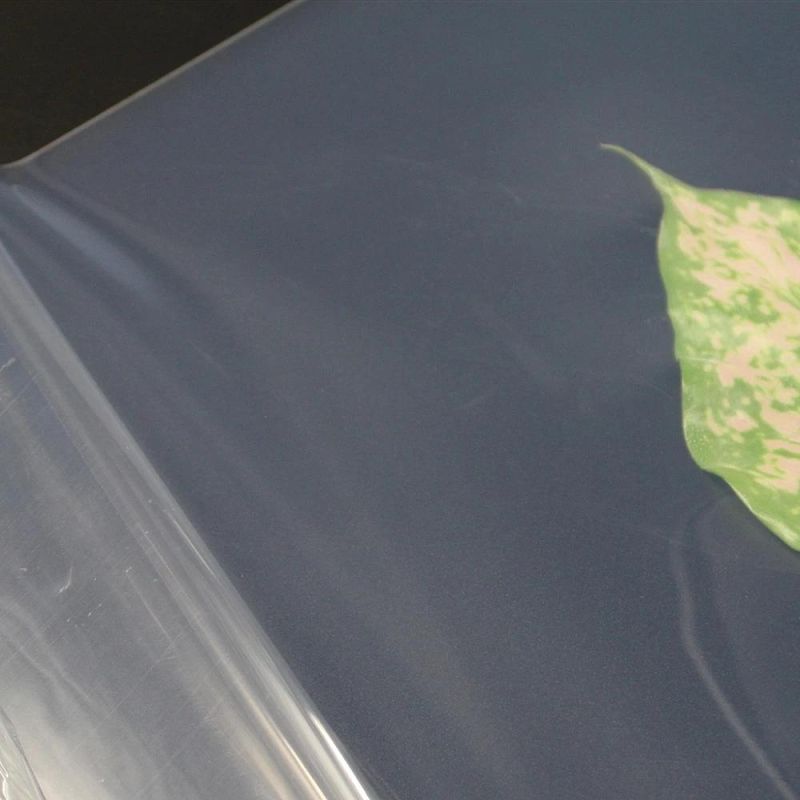 100% Virgin Silicone Sheet, Silicon Sheet, Silicone Rubber Sheet, Silicon Rubber Sheet, Rubber Sheet with FDA Grade and Postcured (3A1001)
