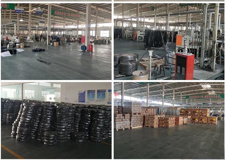 Auto EPDM Sponge and Solid Rubber Profile with Steel Belt