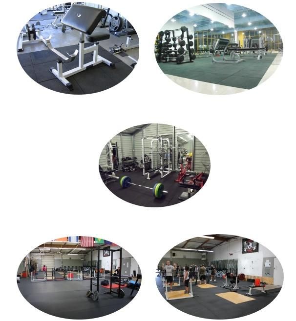 EPDM Flecks Gym Sports Rubber Flooring/Gym Floor Mat