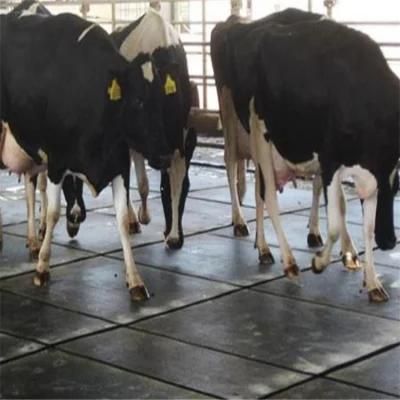 1.22X1.83m Heavy Duty Black Matting SBR Rubber Flooring Stable Cow Rubber Mat