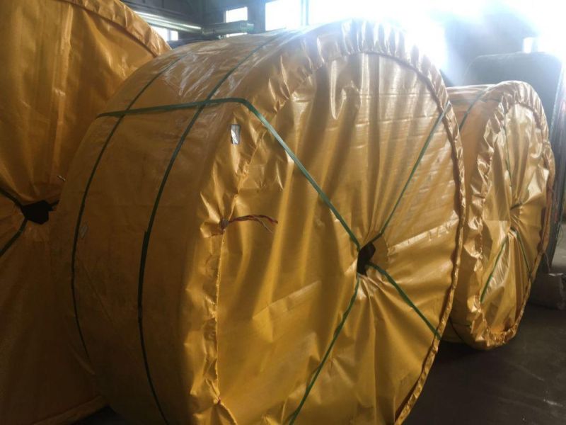 Industrial Conveyor Belt Ep/Nn Conveyor Belting