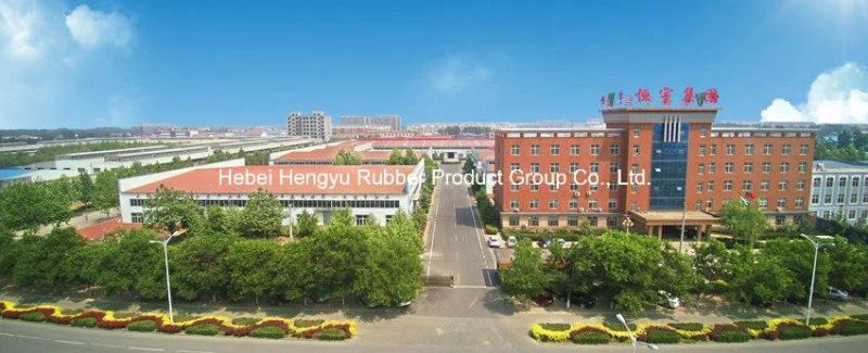 High Performance SAE Standard R17 Hydraulic Hose