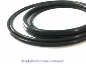 China NBR HNBR Viton PU Rubber Oil Seal Hydraulic Seal O Ring