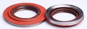 Wholesale FKM (Viton) Brown Oil Seal and Oil Seal Seat Assembly 85*105*19mm