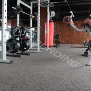 EPDM Flecks Indoor Roll Rubber Floor Mat
