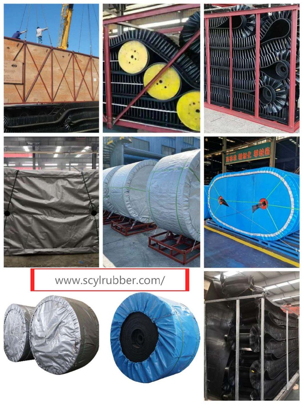 Cut Edge Pure Nylon Rubber Conveyor Belting for Cement Industry