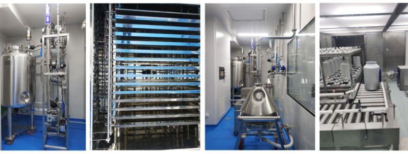 Stainless Steel Reinforced Silicone Rubber Hose Industrial Hose for Water and Food