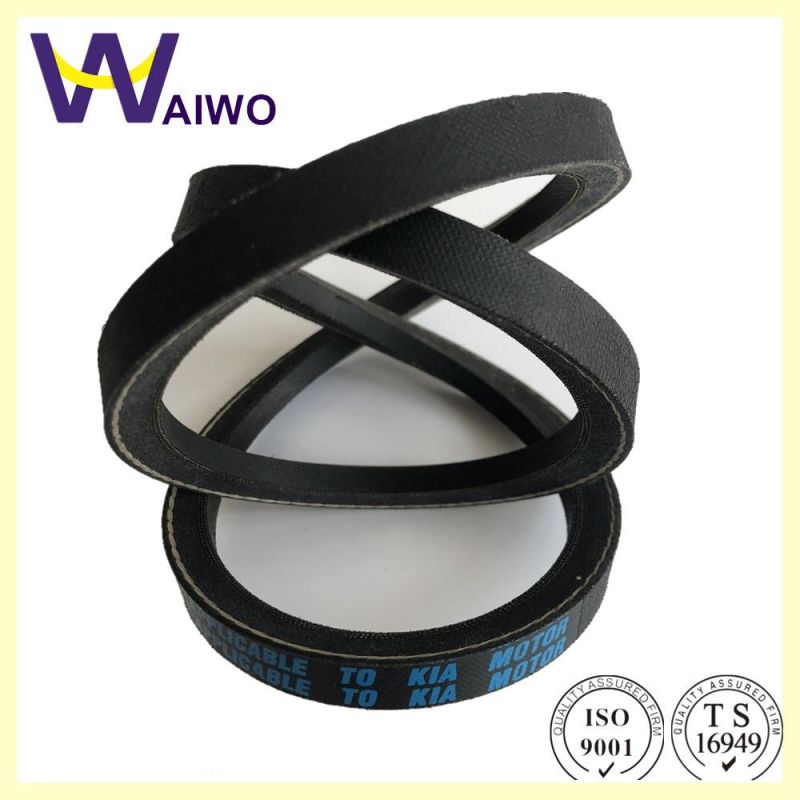 Raw Edged Belt 02117-24523 Fan Belt 13X1240 for Nissan KIA,