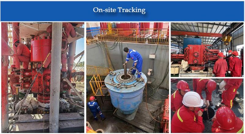 Rotating Bop Rubber Element Blowout Preventer Packer with Williams Shaffer Hydril Cameron