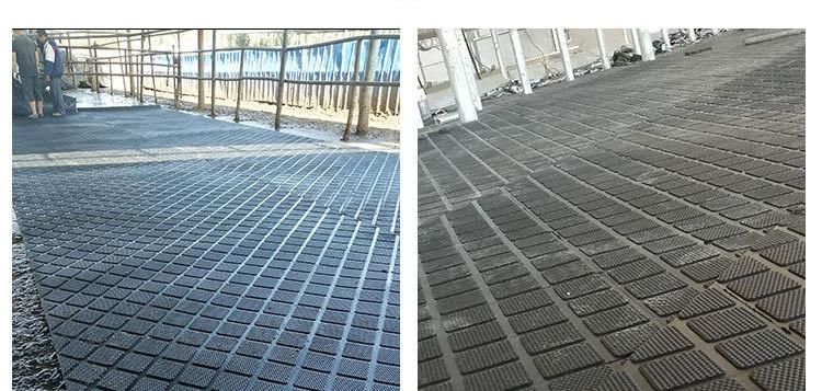 Widen Floor Rubber Mats for Horse