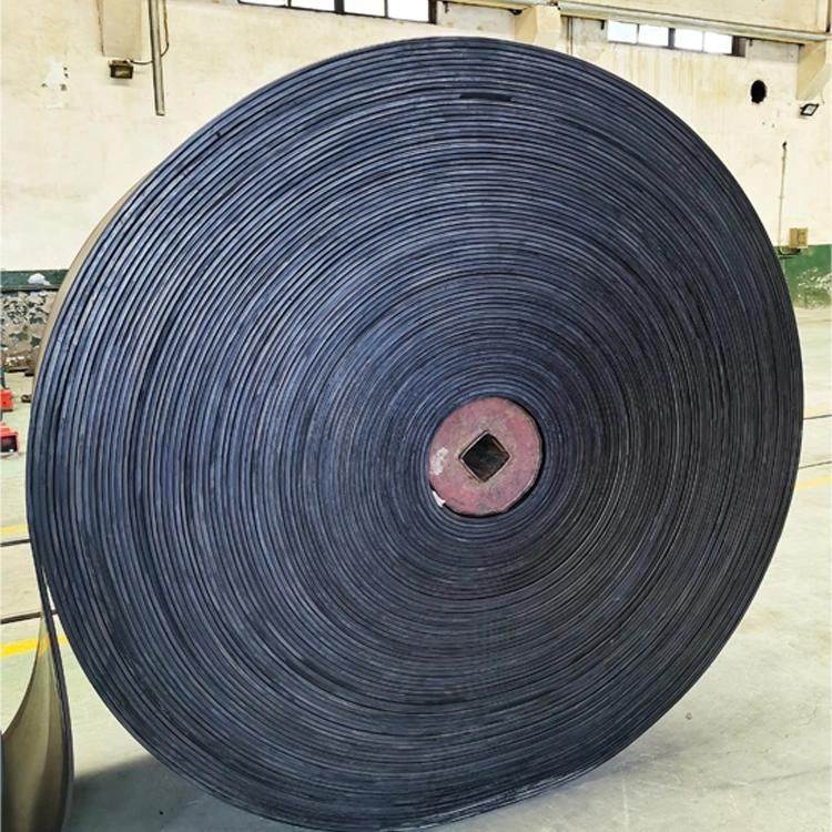 Anti-Static High Strength Nylon Conveyor Belt Nn100-Nn500
