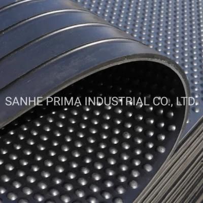 Supply Rubber Mat/Floor with Various Thickness/Width in China Manufacturer