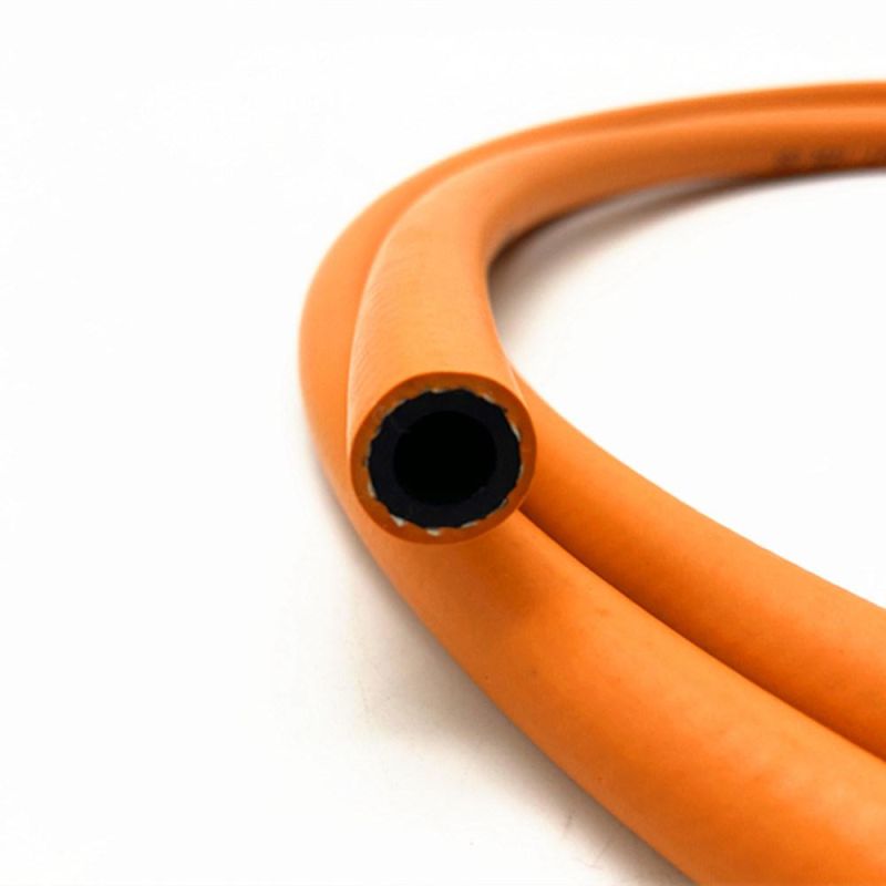 Flexible Gas Hose and Regulator for Gas Tank