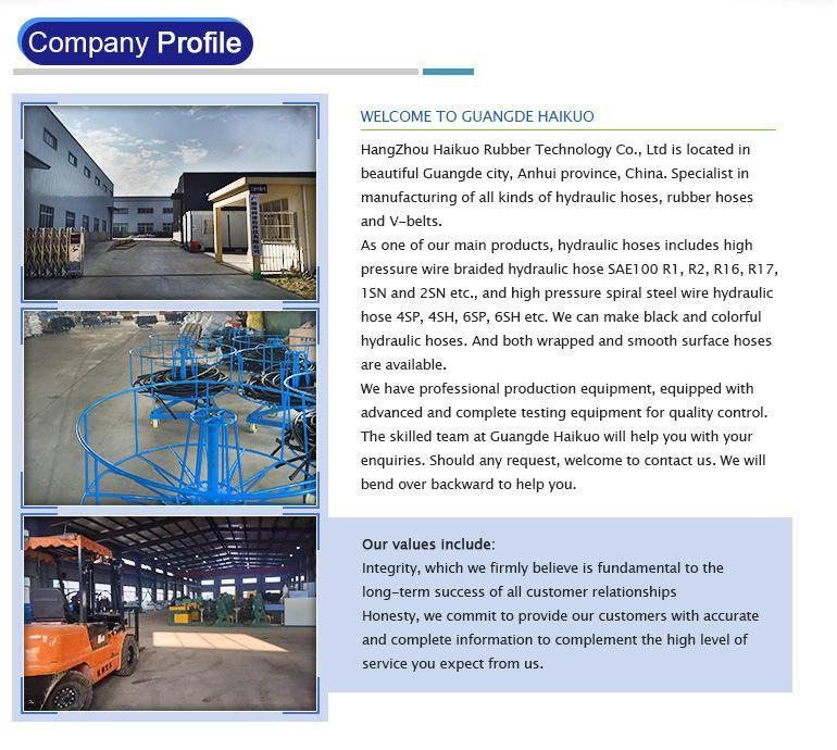 En559 LPG Hose Gas Hose for Household Gas Stove with ISO9001, RoHS, En ISO3821, FDA, Reach Multiple Certifications