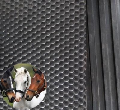 Factory Direct Sale Anti-Slip Easy to Clean Equine Cow Rubber Stable Mats