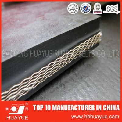 Heat Resistant Conveyor Belt (scorching resistant grade)