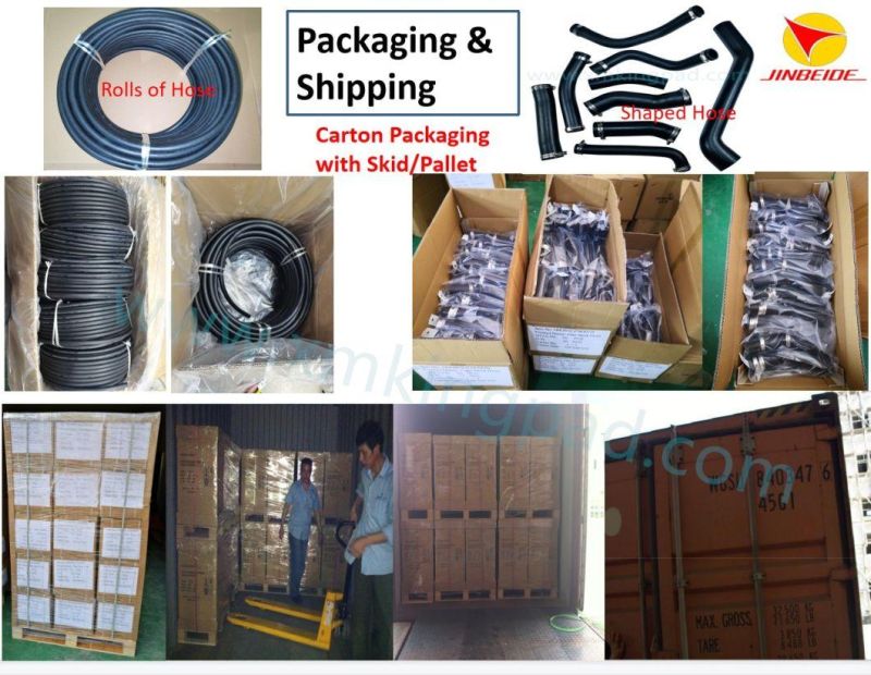 High Temperature & High Pressure Rubber Fuel Hose for Auto Engine