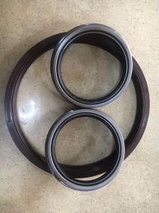 Tc Oil Seal for Auto Spare Parts Rubber Oil Seal NBR FKM Nok OEM 260*290*30mm