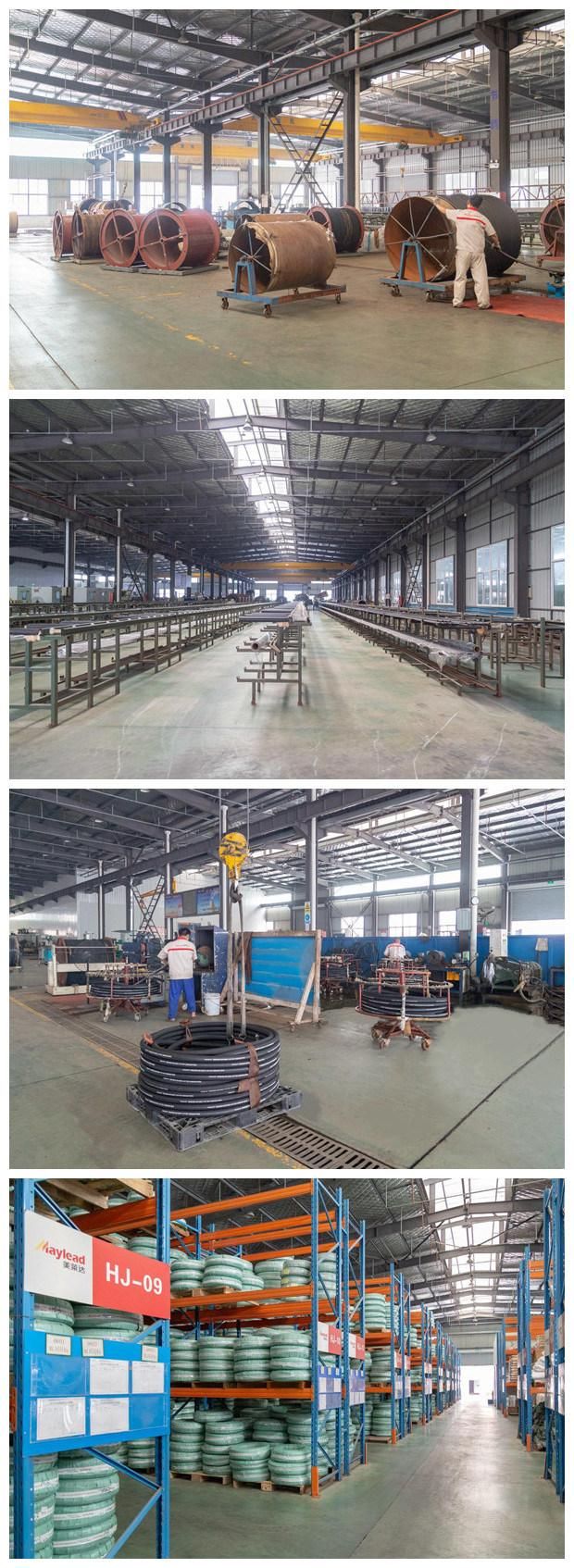 1302 High Pressure Steel Wire Braiden Hydraulic Hose