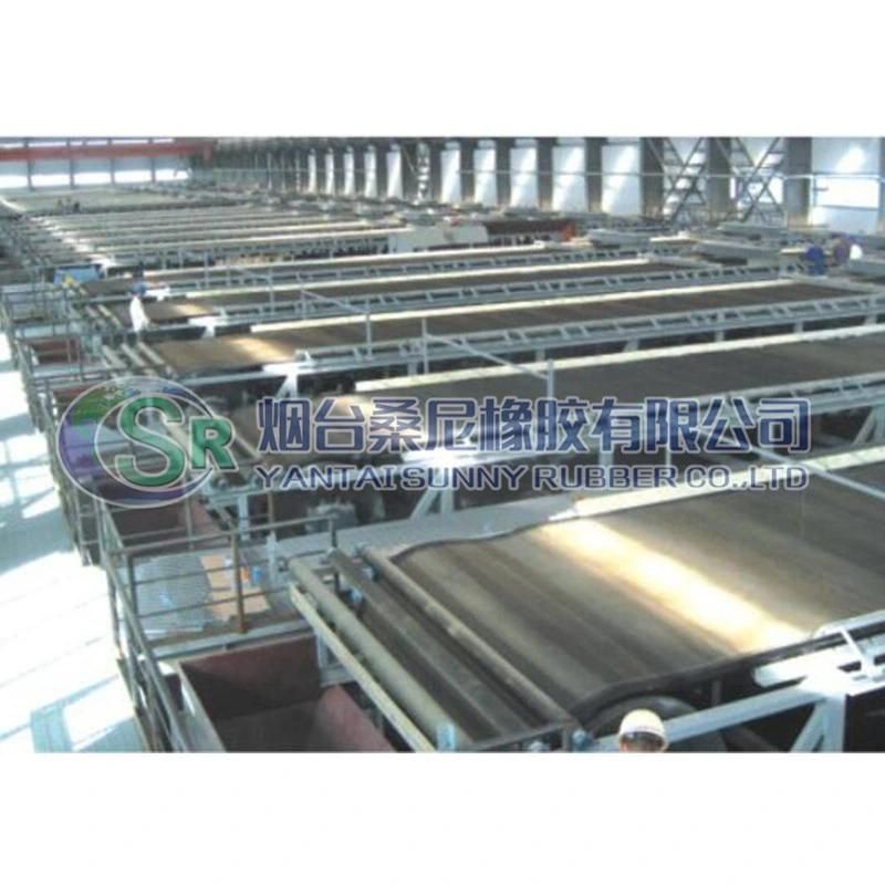 Rubber Conveyor Belt with Drainage Hole for Chemical Industries