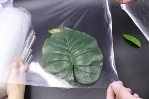 0.2mm High Transparent Silicone Rubber Sheet