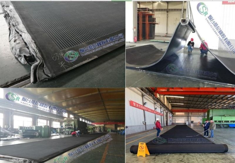 Rubber Belt for Horizontal Vacuum Belt Filters