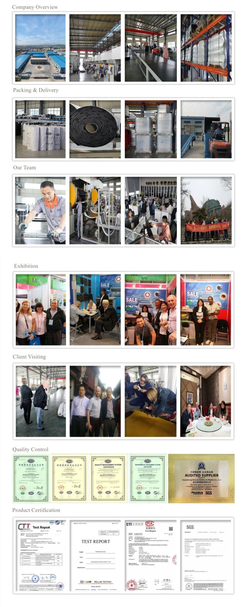 Black Oil Resistance, Anti-Cold, Heat Resistance Fluorine Rubber Sheet