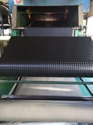 Anti Slip Floor Mat Roll for Gym Walkways and Hallways