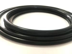 Black FKM O Ring for Special Purpose Customized 10.6*1.9mm