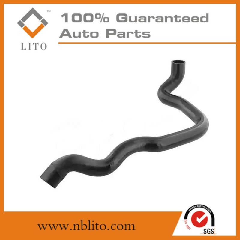 Competitive Price Radiator Hose for VW