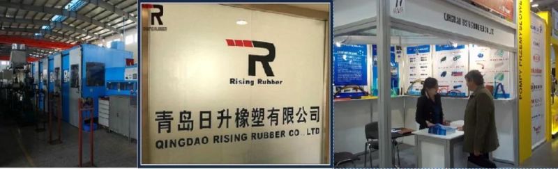 R2/2sn Two Wire Braided High Pressure Hydraulic Rubber Hose