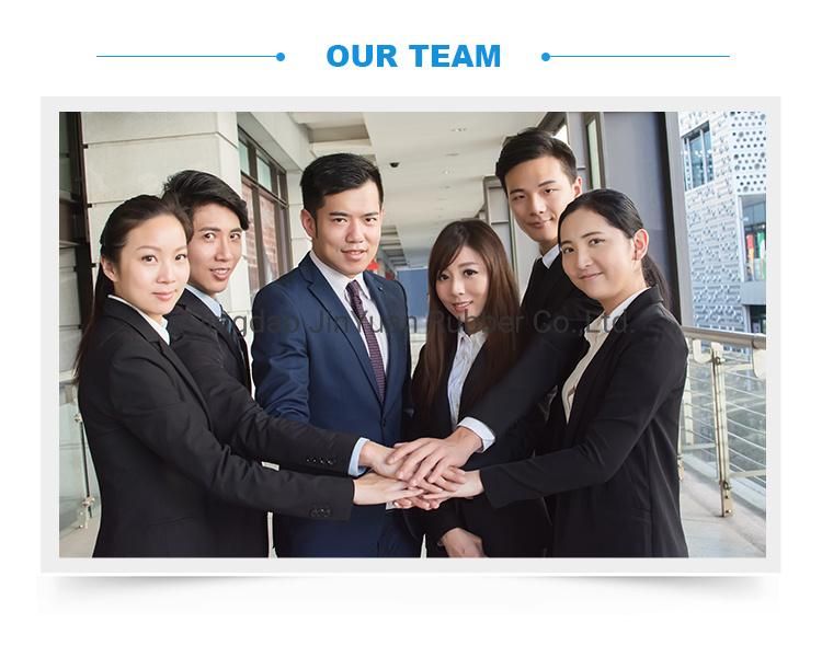 Customized High Quality NBR/EPDM/PU/Silicone Rubber O Ring/ Gasket/ Seal