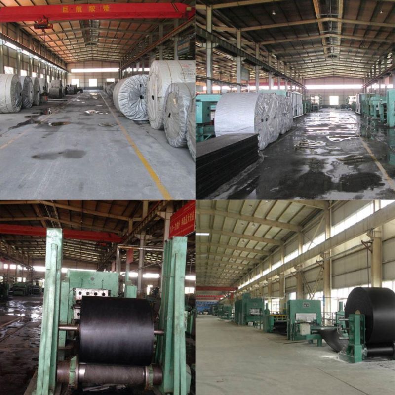 Steel Cord Conveyor Belt