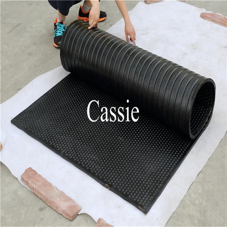 Horse Stable Animal Agriculture Rubber Matting