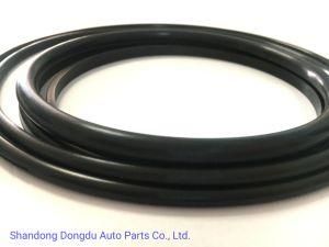 China Factory Customized Auto Oil Seal for Cars