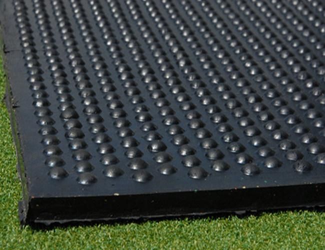 Anti-Bacteria Rubber Matting Horse Mats/Cow Mat