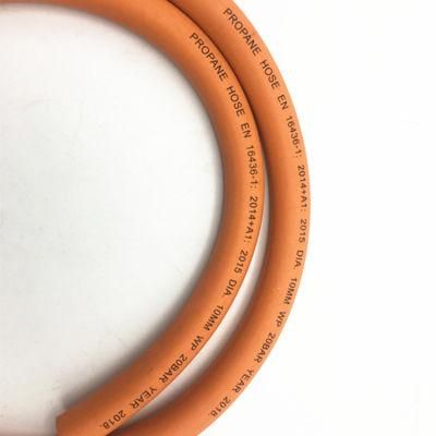ISO9001 Certified Factory Sell Rubber LPG Propane Gas Hose