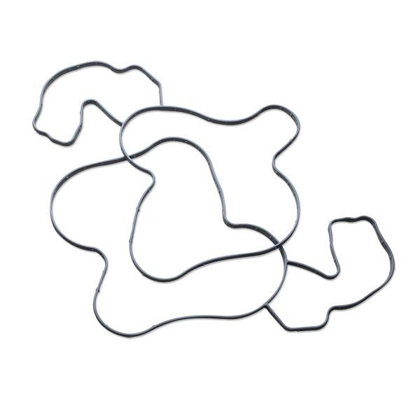 EPDM/Silicone/NBR/FKM/Buna Seal Oring with Customized O Rings Shape