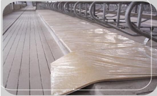 Factory Direct Sales Cow Mat Cow Sponge Mats