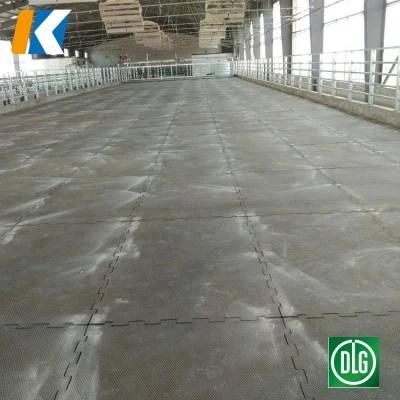Good Quality Rubber Horse Trailer Stall Cow Non Slip Mat with Dlg Report