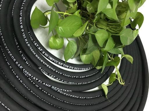 Red Smooth Surface Hydraulic Hose with SAE R1at/DIN/En853 1sn