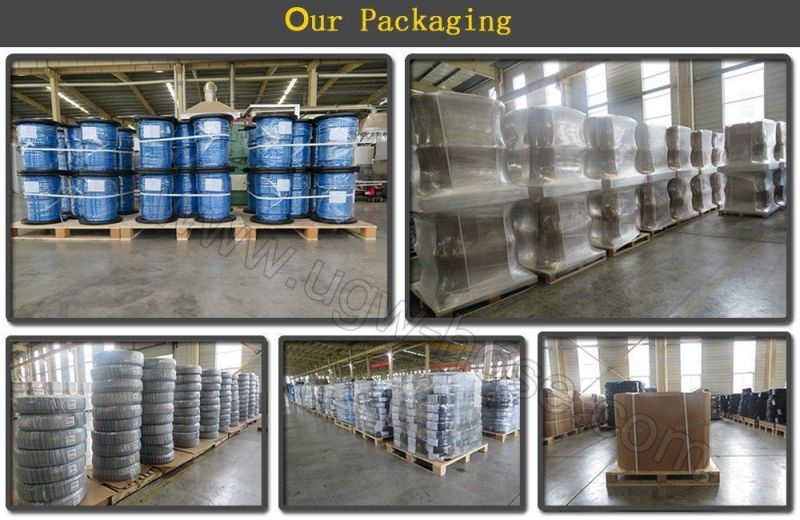 Rubber Hydraulic Hose En853 2sn Pressure Hose Flexible Hose Pre-Assembly