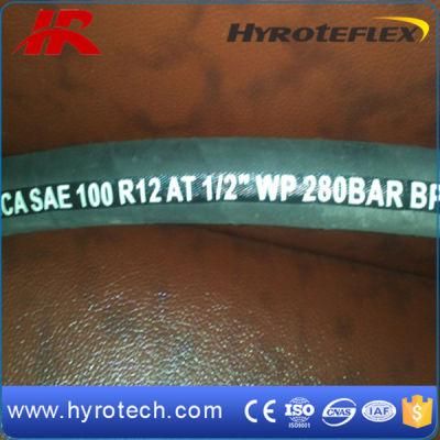 Oil Hose Hydraulic Hose SAE 100 R12 Hydraulic Hose