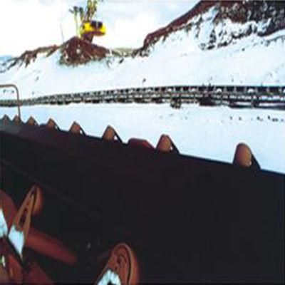 Cold-Resistant Conveyor Belts