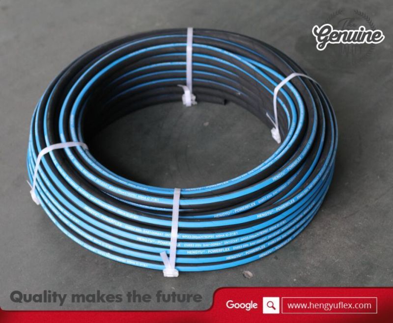 Steel Wire Braided Flexible High Pressure Washer Rubber Hose
