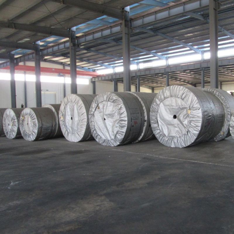 Cc Conveyor Belt