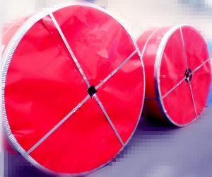 Heat Resistant Conveyor Belt