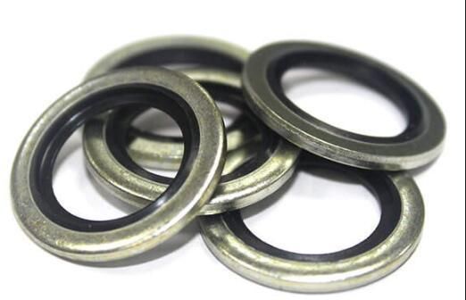 CS Ss Inner Outer Ring PTFE Spiral Wound Gasket&Washer
