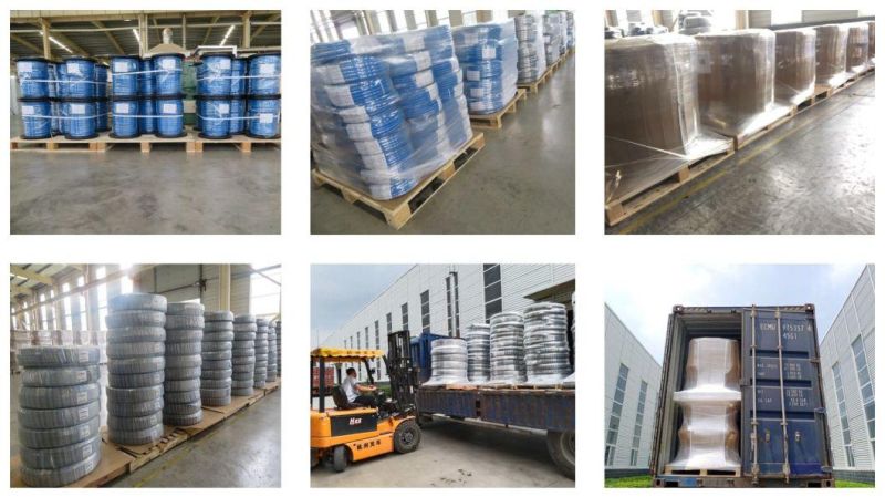 3/8 1sn Braid Hydraulic Hose Pipe SAE 100r1 En853 Pressure Industrial Hose Assembly